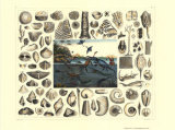 Dinosaurs I