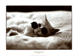 Buy Paris, 1968 at AllPosters.com