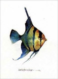 Buy Fish Tail I at AllPosters.com