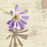 Buy Vintage Letter and Purple Daisy at AllPosters.com