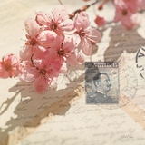 Vintage Letters and Cherry Blossoms
