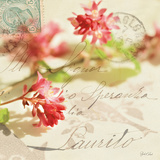 Vintage Letters and Pink Blossoms