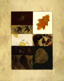 Buy Essential Nature IV at AllPosters.com