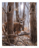 Buy Deer at AllPosters.com