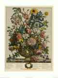 June Art Print