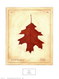 Oak Leaf Art Print