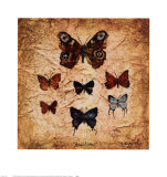 Buy Papillons II at AllPosters.com