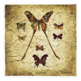 Buy Papillons I V at AllPosters.com