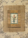 Buy Bird of Paradise II at AllPosters.com
