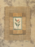 Buy Bird of Paradise at AllPosters.com