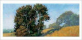 Buy Sauvie's Island at AllPosters.com