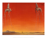 Buy The Elephants, c.1948 at AllPosters.com