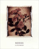 Buy Rose Study I at AllPosters.com