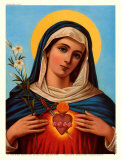 Sacred Heart of Mary