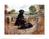 Buy Change of Seasons at AllPosters.com