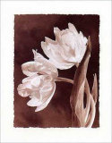 Buy Tulips at AllPosters.com