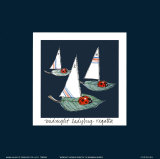 Midnight Ladybug Regatta
