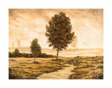 Buy Field and Stream I at AllPosters.com
