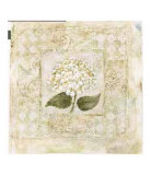 Buy Hortensia Gloriosa at AllPosters.com