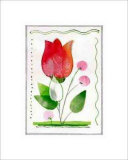Dutch Tulip