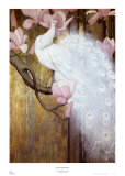 Peacock with Magnolia