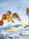 Dream Caused by the Flight of a Bee around a Pomegranate, c. 1944