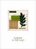Bay Leaf Boogie