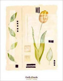 Buy Toulon Tulip at AllPosters.com
