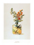 Snapdragon Scent