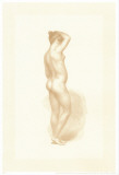 Buy Jarrones Clasicos Sepia II at AllPosters.com