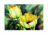 Buy Yellow Tulips at AllPosters.com