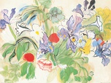 Poppies and Iris