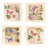 Butterfly Gardens