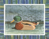 Blue Duck II