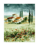 Toscane IV