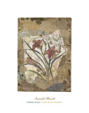 Tigerlily and Lace