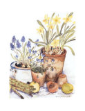 From the Garden II