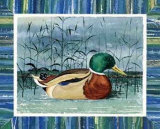 Blue Duck I