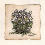 Buy Mixe Pansies at AllPosters.com