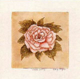 Buy Blush Peony at AllPosters.com