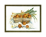 Buy Onions at AllPosters.com