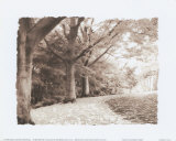 Queen Elizabeth Park