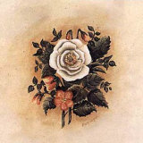 Buy Antique Rose I at AllPosters.com