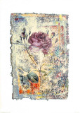Buy Abstract Roses III at AllPosters.com