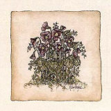 Buy Pansies at AllPosters.com