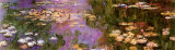 Water Lilies I