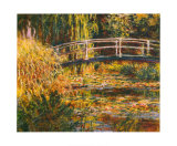 Water Lily Pond-Pink Harmony