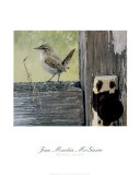 House Wren