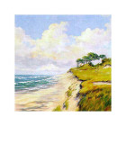 Coastal Lanscape