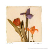 Buy Tre Fiori I at AllPosters.com